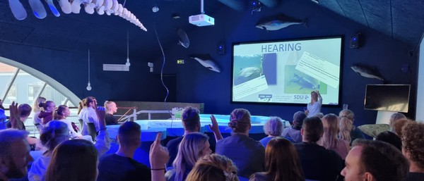 Konferencedeltagere sidder og mørket og kigger op på et lærred